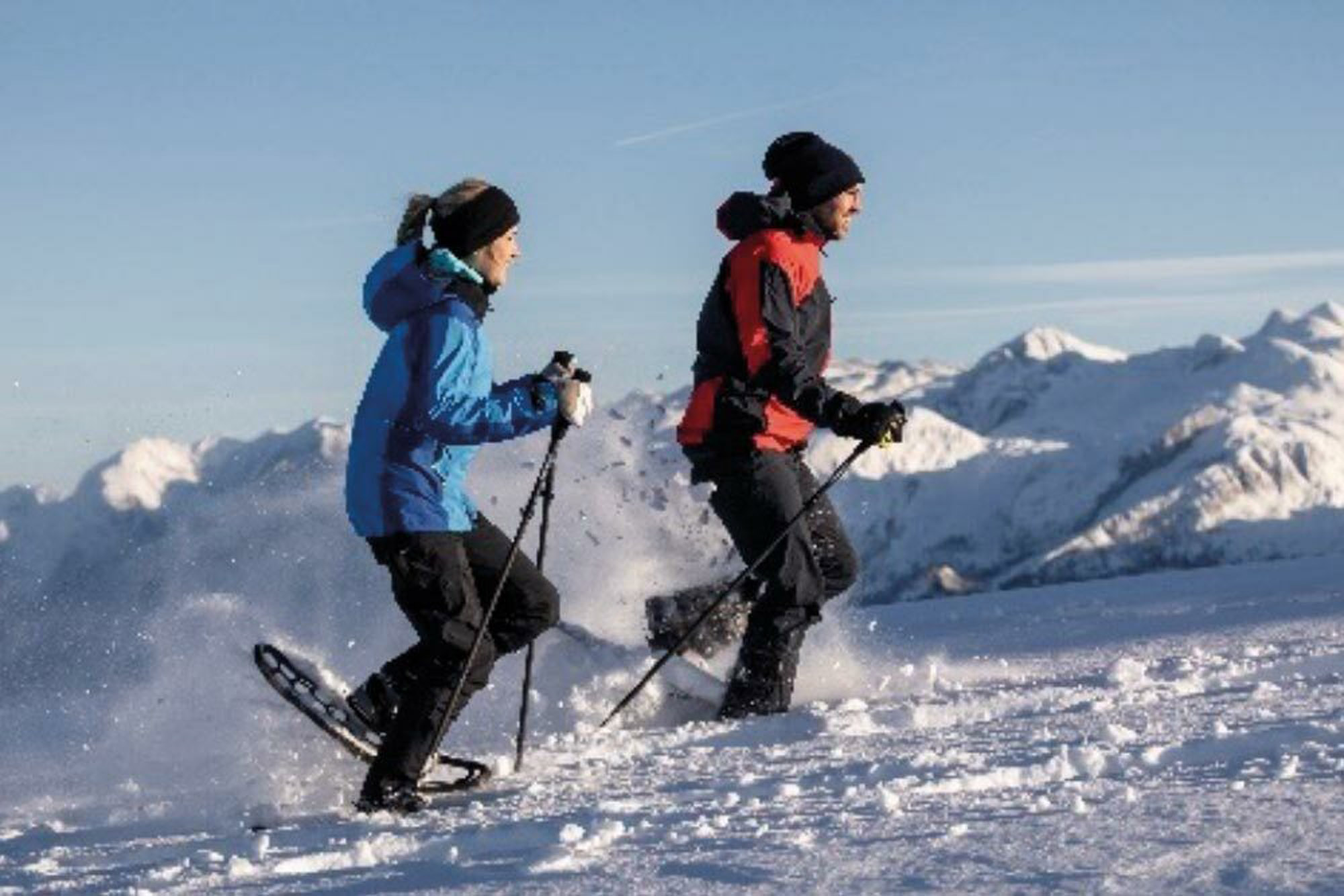 Komperdell Snowshoe Carbon