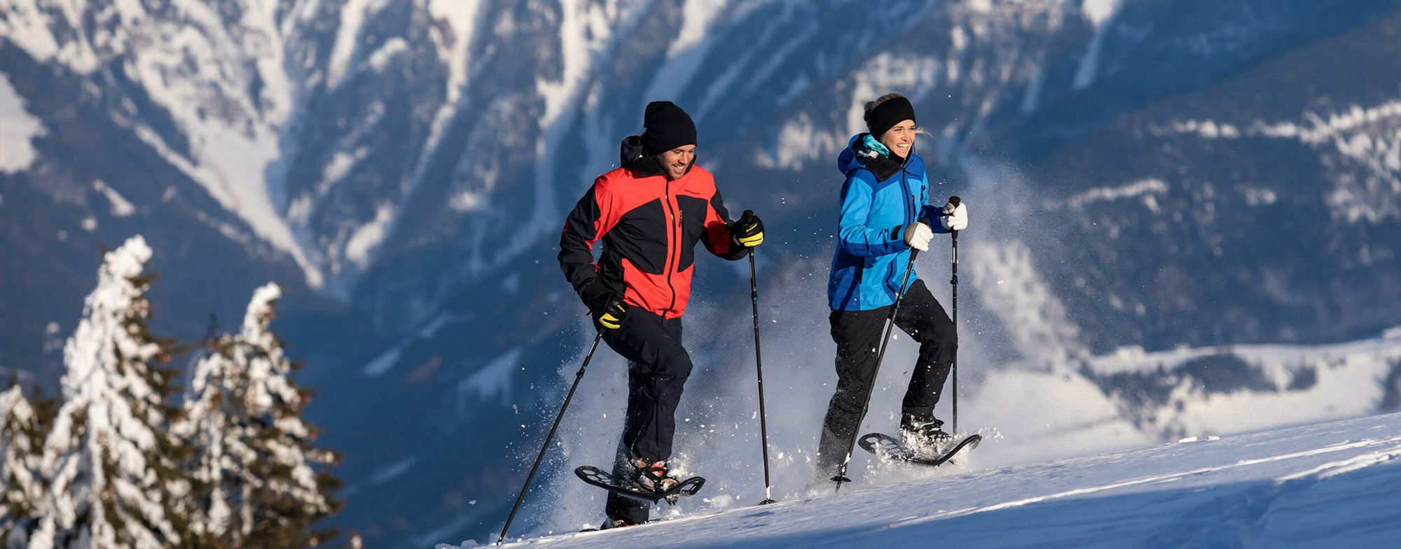 Komperdell Snowshoe Carbon